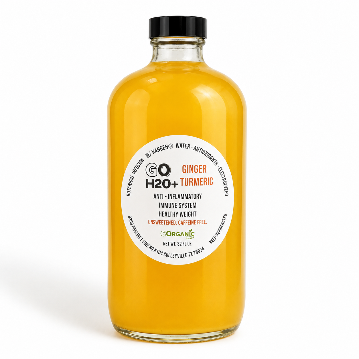 GO H2O+ - Ginger Turmeric