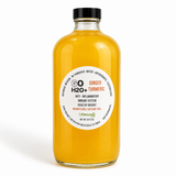GO H2O+ - Ginger Turmeric